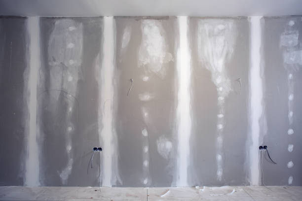 Best Water Damage & Mold Remediation  in Point Baker, FL